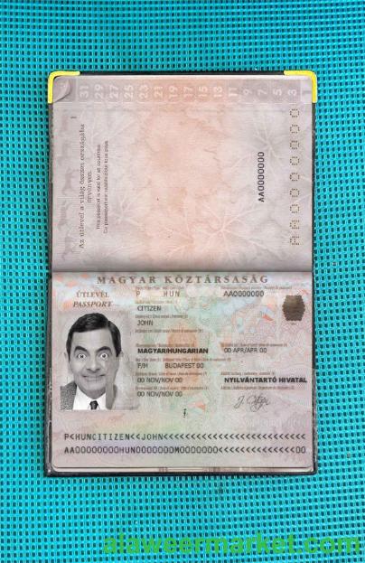 Hungary passport photo look